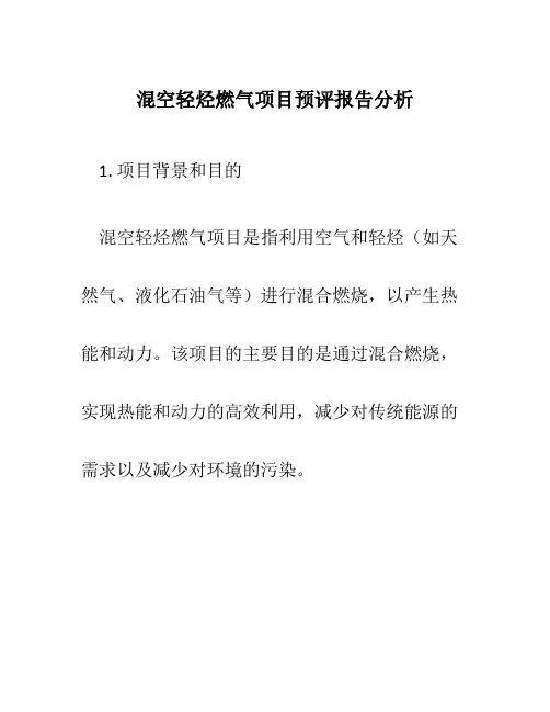 混空轻烃燃气项目预评报告分析