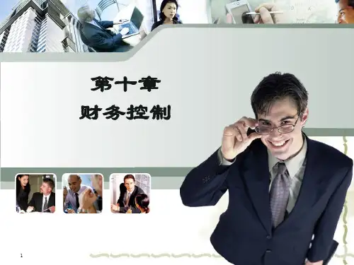10第十章财务控制