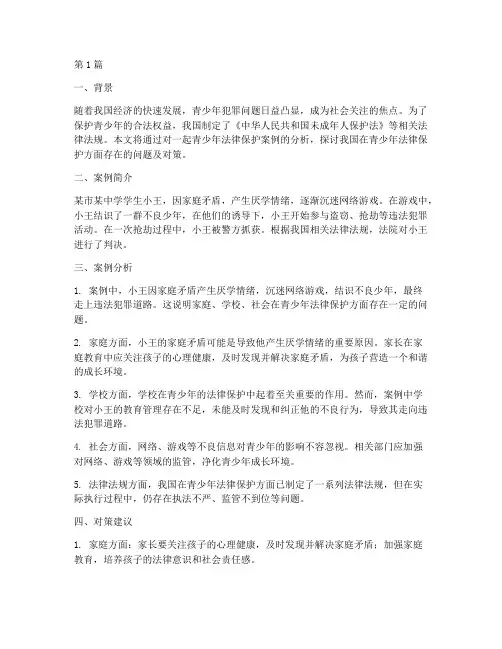 青少年法律保护案例分析(3篇)