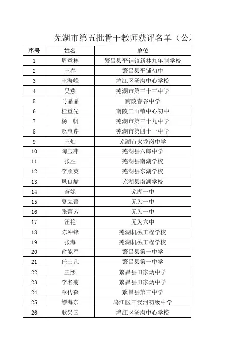芜湖市第五批骨干教师获评名单4