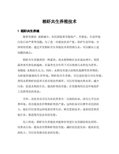 稻虾共生养殖技术