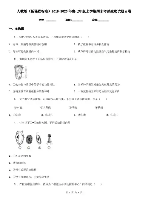 人教版(新课程标准)2019-2020年度七年级上学期期末考试生物试题A卷(练习)