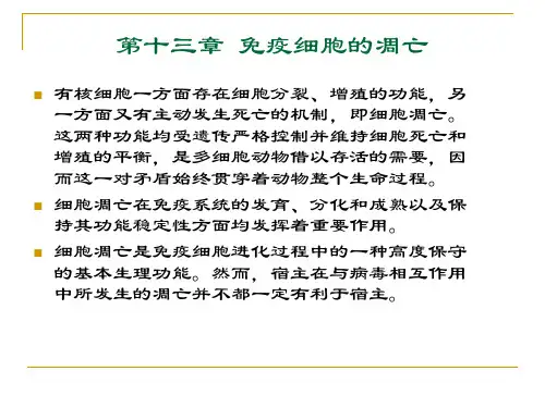 免疫细胞的凋亡