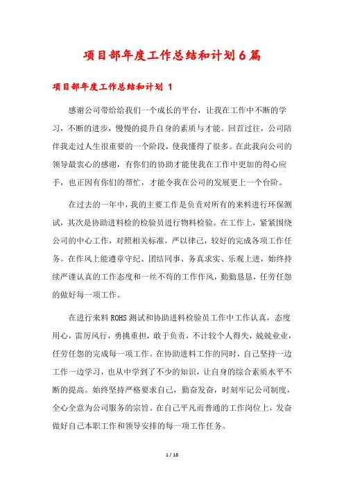 项目部年度工作总结和计划6篇