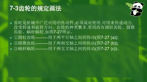 齿轮的规定画法