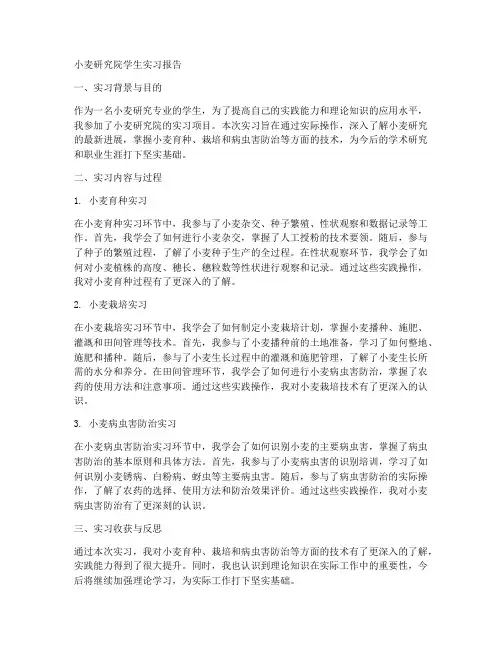 小麦研究院学生实习报告