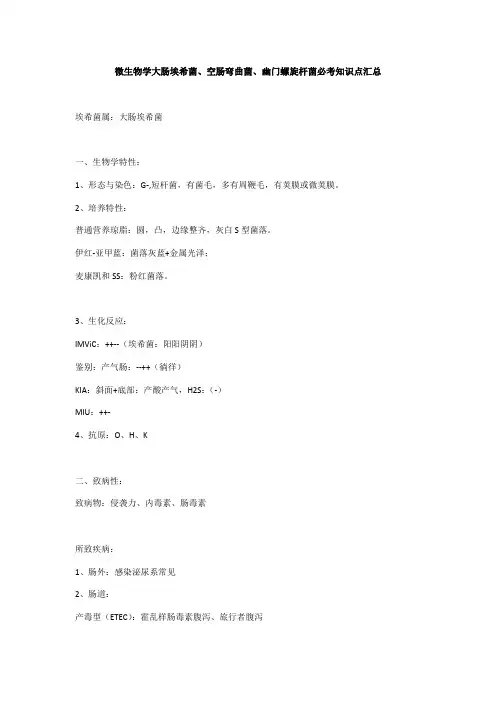 微生物学大肠埃希菌、空肠弯曲菌、幽门螺旋杆菌必考知识点汇总