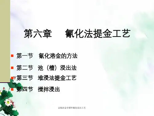 金银冶金学课件氰化浸出工艺