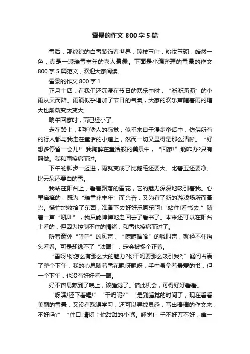 雪景的作文800字5篇