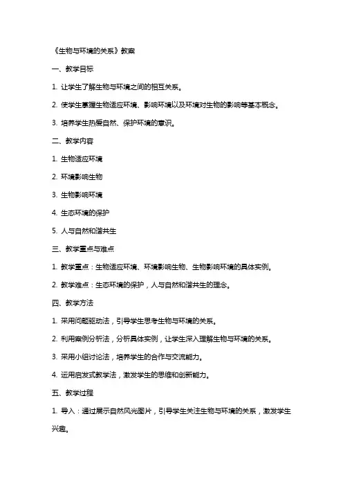 《生物与环境的关系》教案