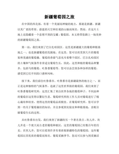 新疆葡萄园之旅