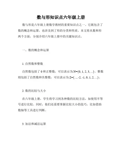 数与形知识点六年级上册