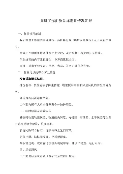 采掘质量标准化情况汇报