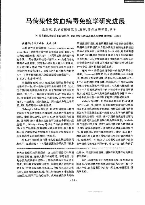 马传染性贫血病毒免疫学研究进展