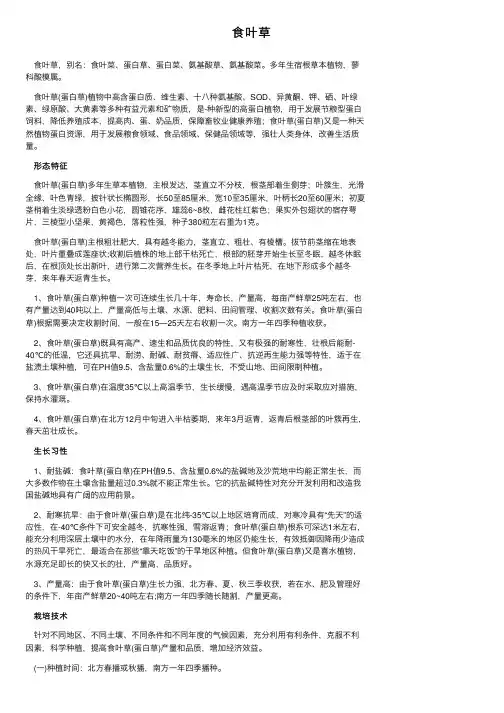 食叶草——精选推荐