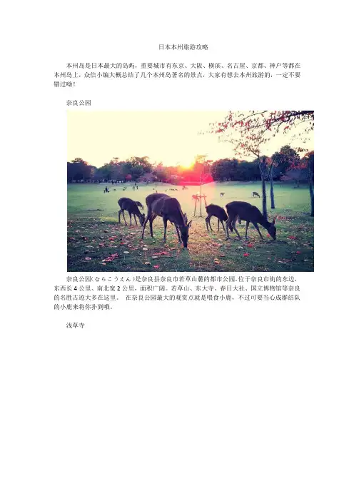 日本本州旅游攻略