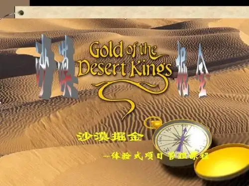 沙漠掘金培训机构主流版完整版合集