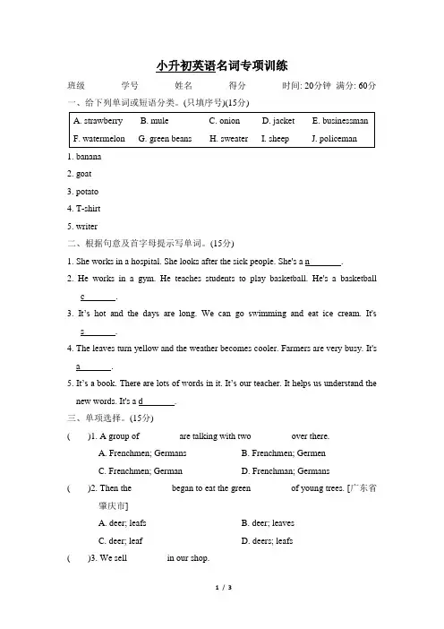 小升初英语名词专项训练含答案