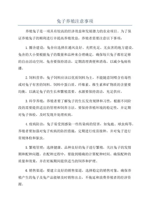兔子养殖注意事项