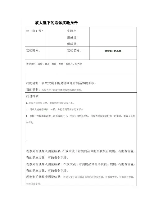 放大镜下的晶体实验报告