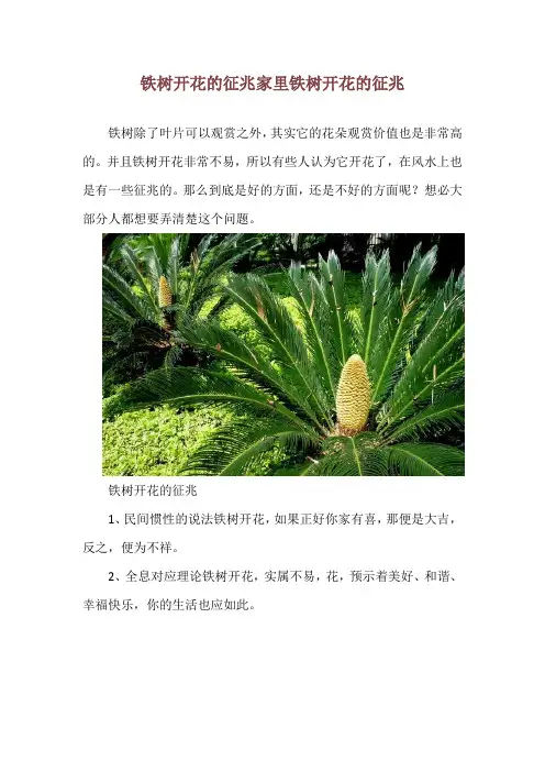 铁树开花的征兆 家里铁树开花的征兆