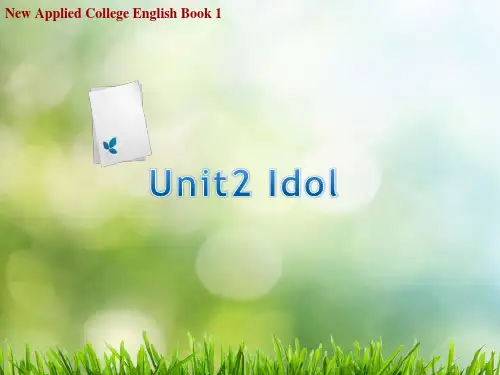 新应用大学英语第一册新版课件Unit 2-Idol