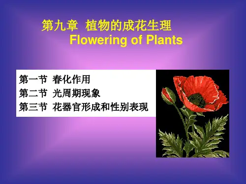 李合生植物生理学第九章植物成花生理