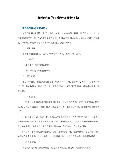 销售经理的工作计划5篇
