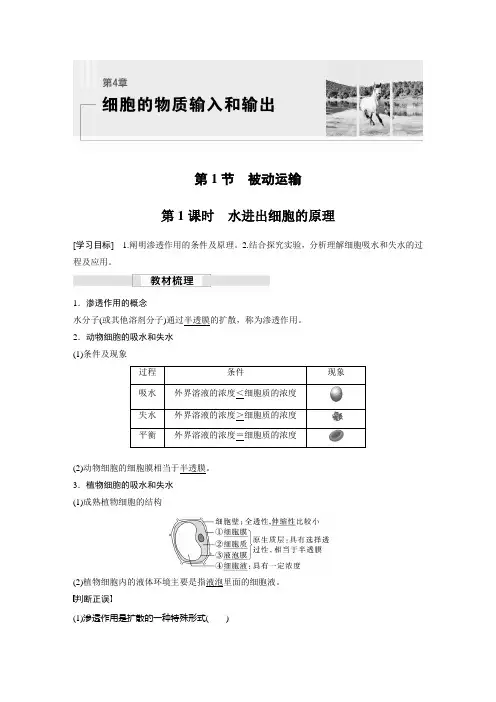 2023届高中生物新教材同步必修第一册 第4章 第1节 第1课时 水进出细胞的原理