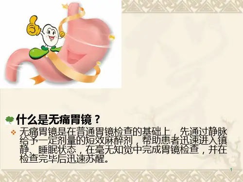 无痛胃镜PPT课件