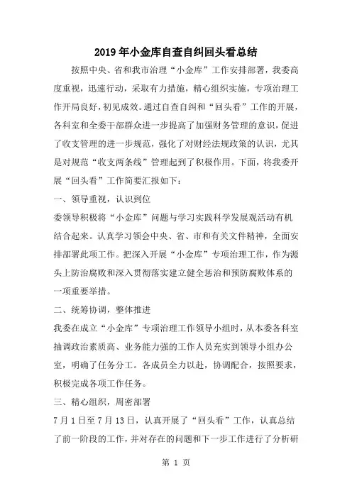 小金库自查自纠回头看总结-word范文文档