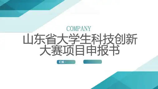 山东省大学生科技创新大赛项目申报书