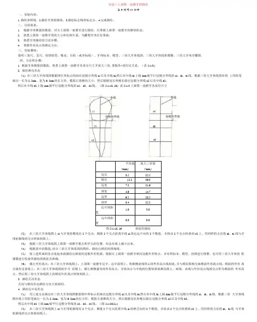 实验3上颌第一前磨牙的描绘
