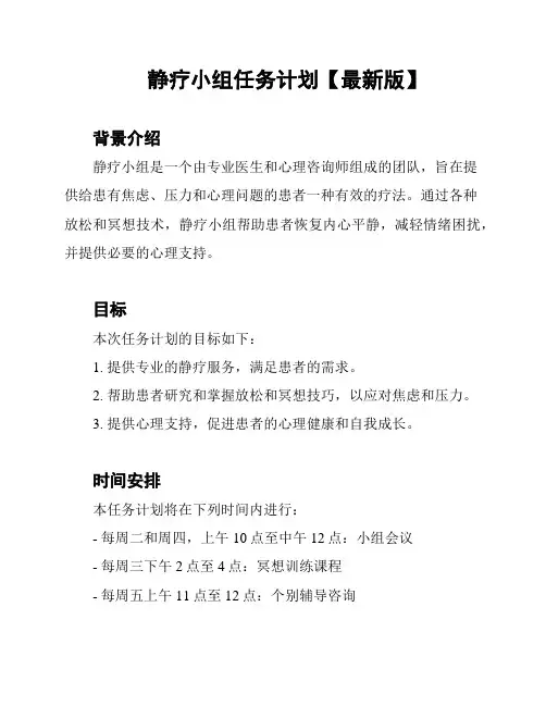 静疗小组任务计划【最新版】