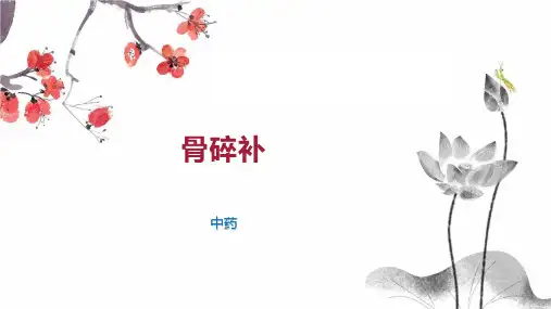 骨碎补    