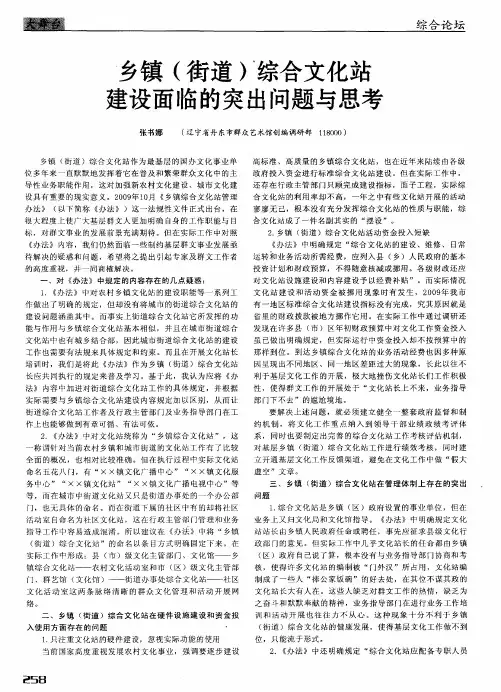 乡镇(街道)综合文化站建设面临的突出问题与思考