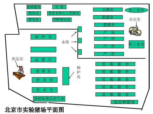 大型规模化猪场平面示意图集ppt课件