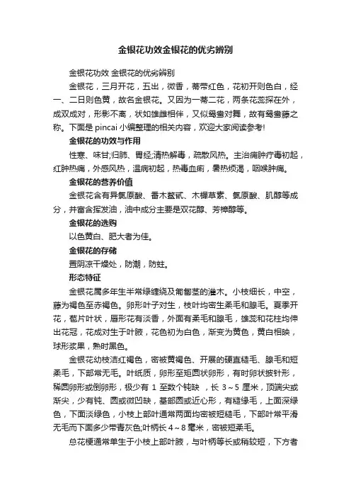 金银花功效金银花的优劣辨别
