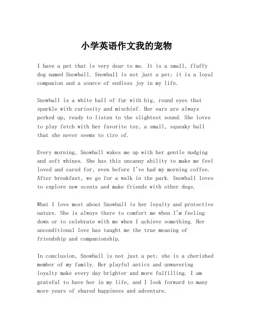 小学英语作文我的宠物