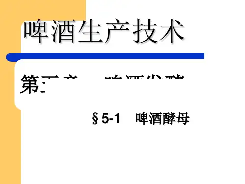 啤酒生产技术之啤酒发酵PPT(37张)
