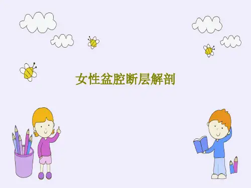 女性盆腔断层解剖共45页文档