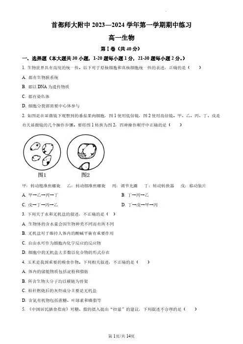 2023-2024学年北京首师大附中高一上学期期中生物试题含答案解析