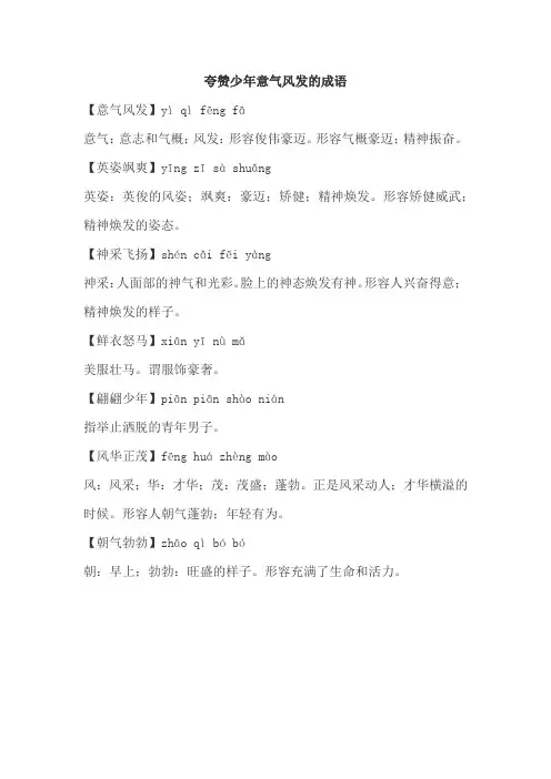 夸赞少年意气风发的成语