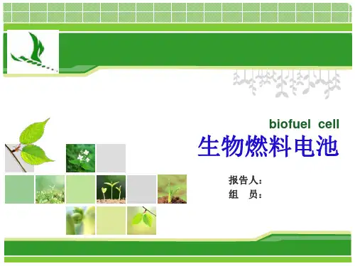 生物燃料电池概述
