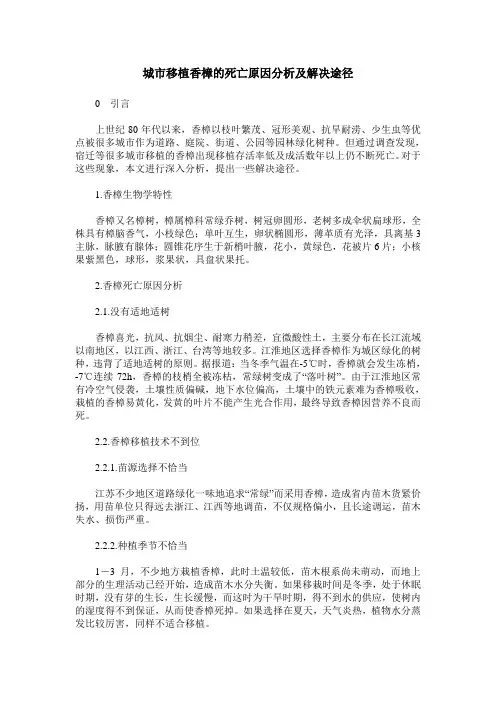 城市移植香樟的死亡原因分析及解决途径