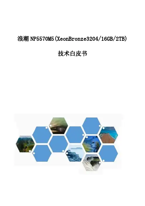 浪潮NP5570M5(XeonBronze3204-16GB-2TB)-服务器技术白皮书