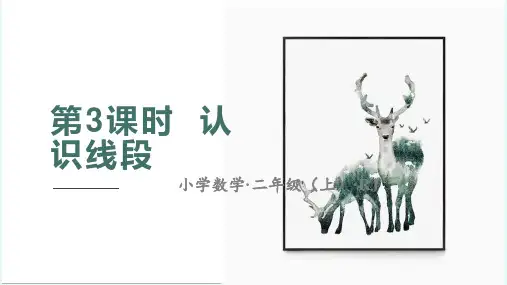 第一单元_第03课时_认识线段(教学课件)-二年级数学上册人教版