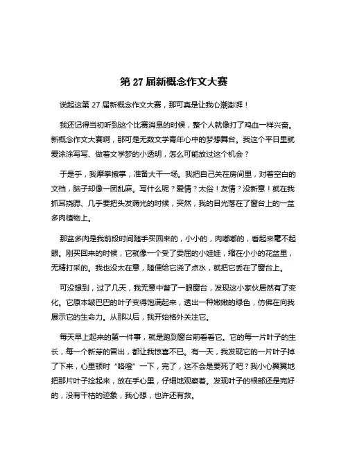 第27届新概念作文大赛
