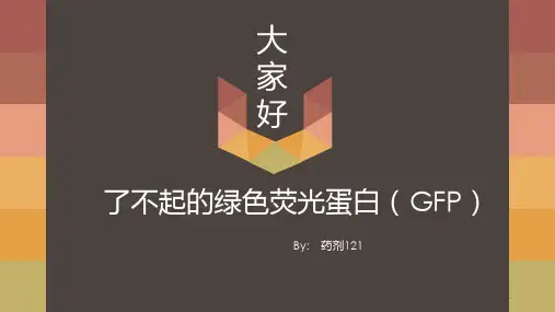 绿色荧光蛋白(GFP)PPT课件