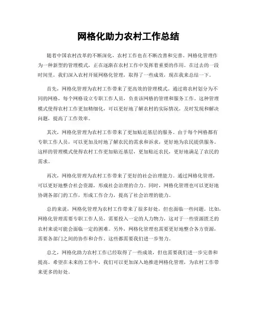 网格化助力农村工作总结